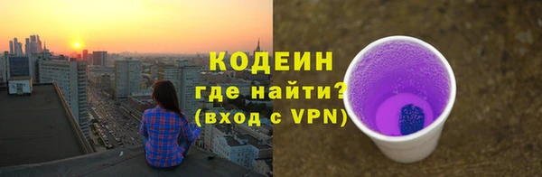 молекула духа Дмитровск