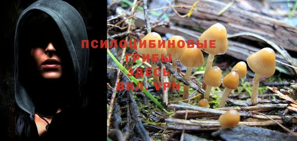 mdma Дмитров