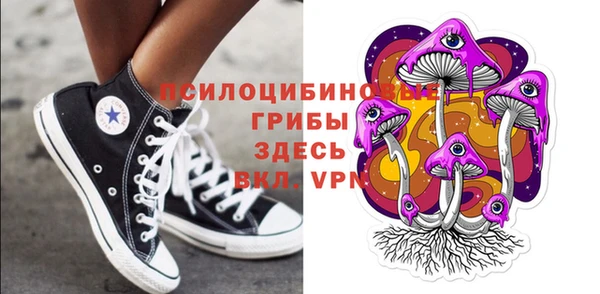 молекула духа Дмитровск