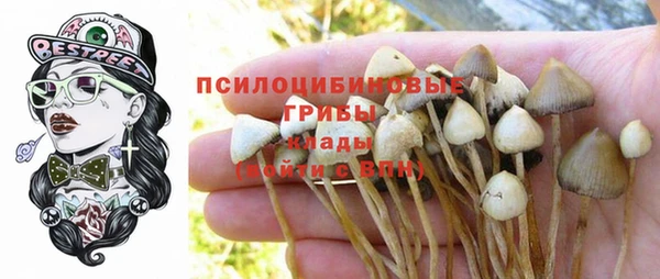 марихуана Дмитриев