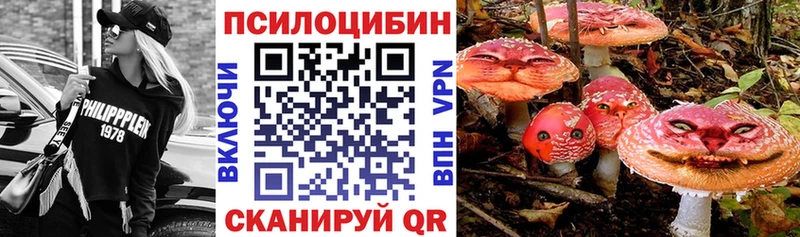 Псилоцибиновые грибы Psilocybine cubensis  Зима 